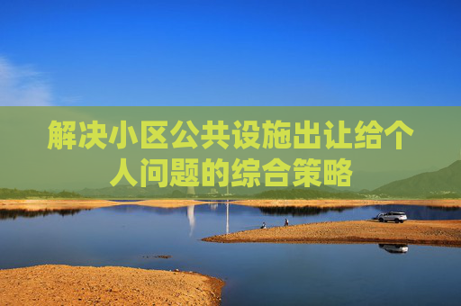 解决小区公共设施出让给个人问题的综合策略