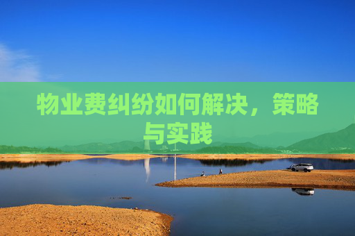 物业费纠纷如何解决，策略与实践