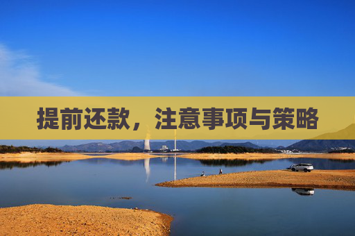 提前还款，注意事项与策略