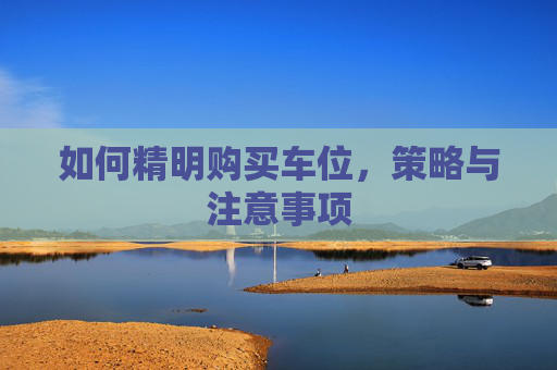 如何精明购买车位，策略与注意事项