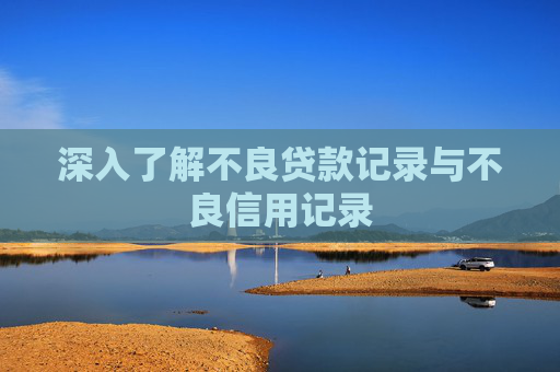 深入了解不良贷款记录与不良信用记录