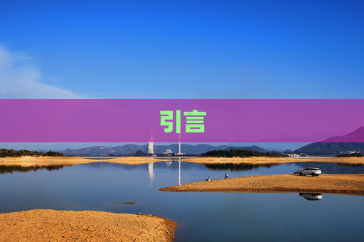 引言