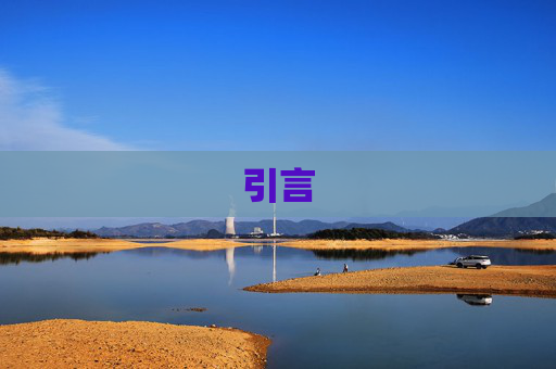 引言