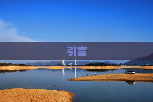 引言