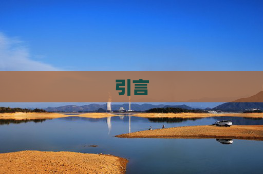 引言