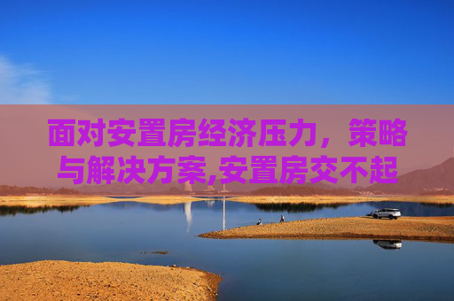 面对安置房经济压力，策略与解决方案,安置房交不起钱该如何