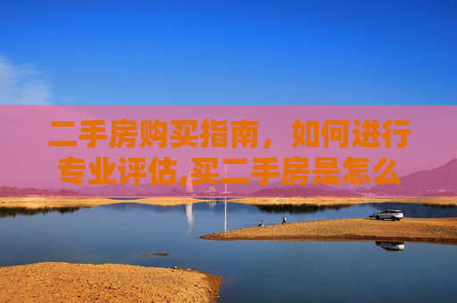 二手房购买指南，如何进行专业评估,买二手房是怎么评估的