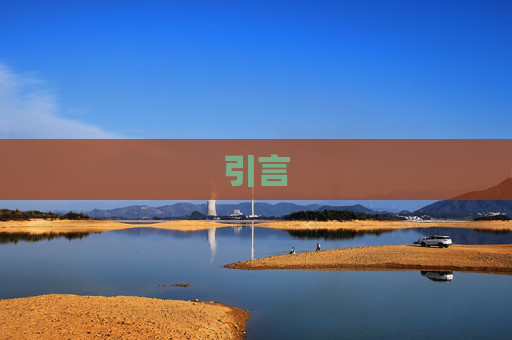 引言