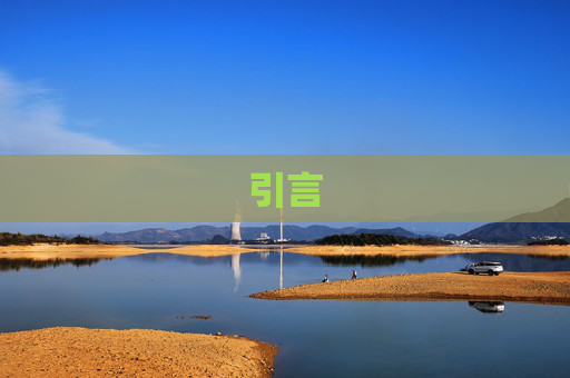 引言
