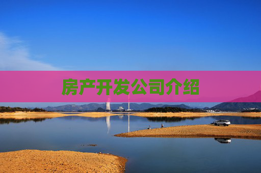 房产开发公司介绍