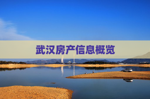 武汉房产信息概览
